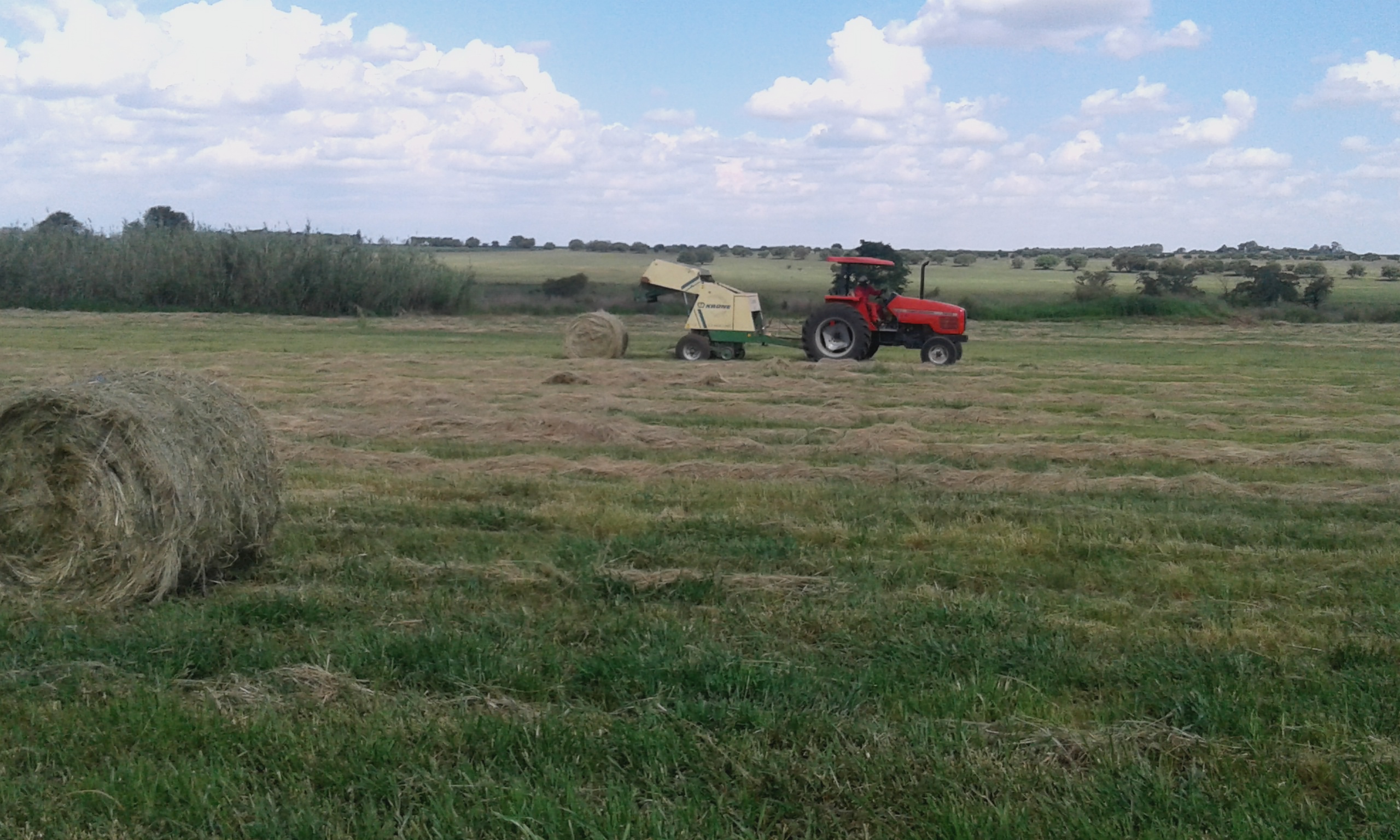  - Farm Activities